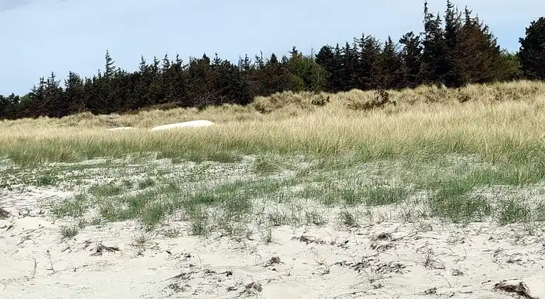 Holiday home in Højby