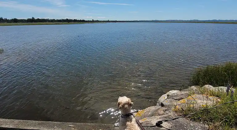 Holiday home in Højby