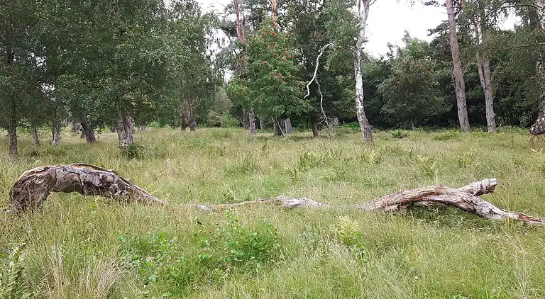 Casa vacanze in Væggerløse