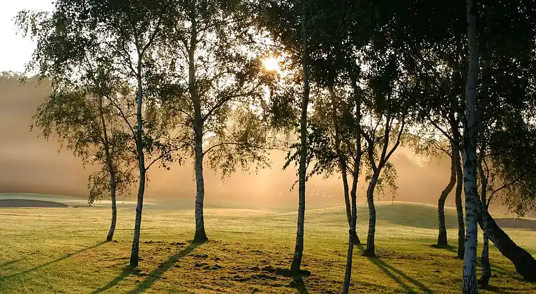 Holiday home in Kongsnæs