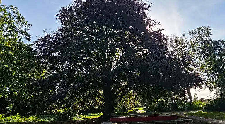 Holiday home in Kongsnæs