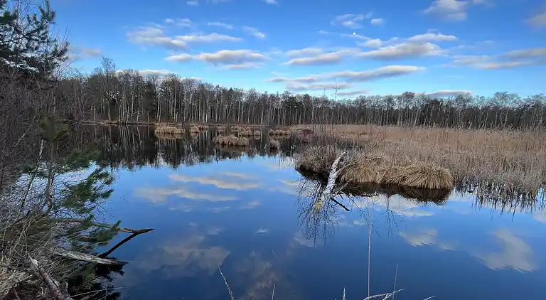 Holiday home in Kongsnæs