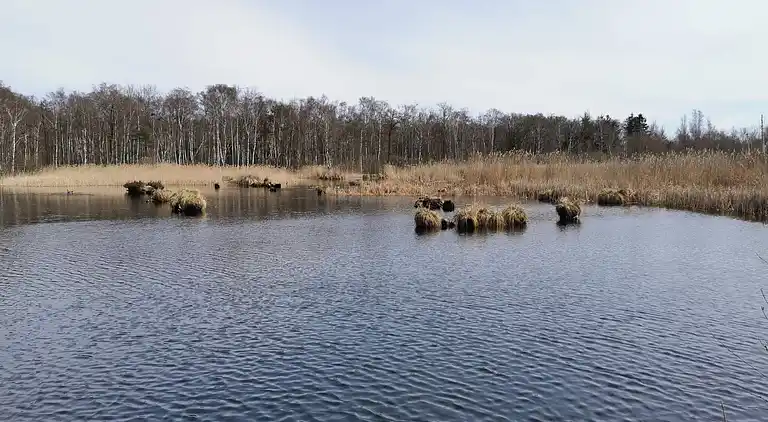Holiday home in Kongsnæs