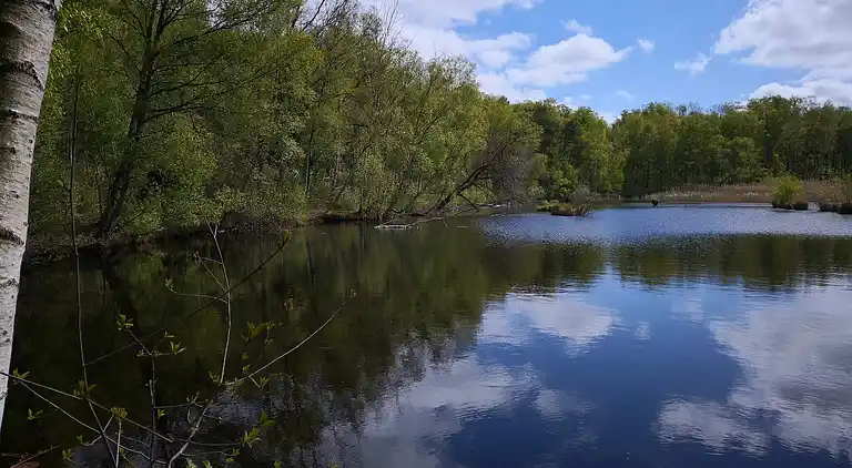 Holiday home in Kongsnæs