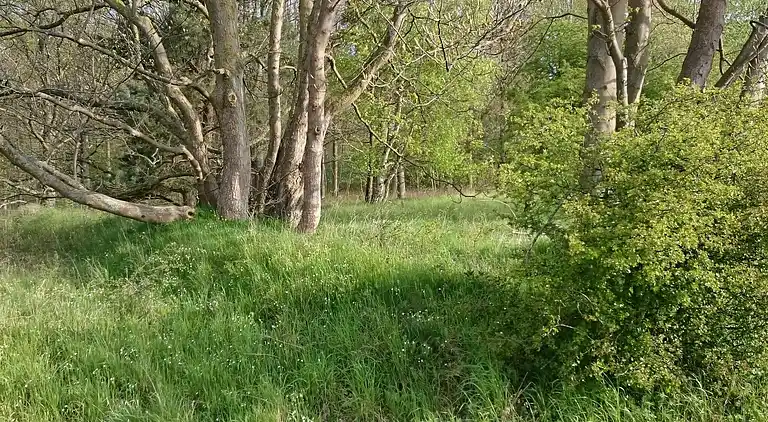 Holiday home in Faxe