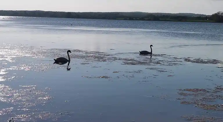 Holiday home in Faxe