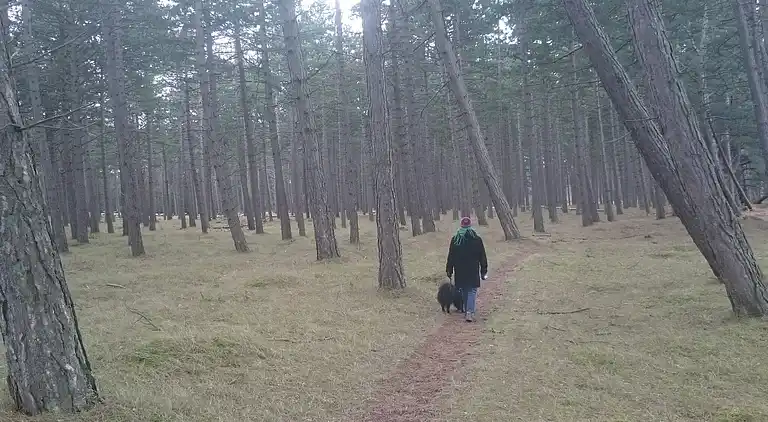 Holiday home in Faxe