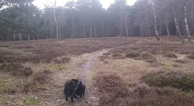 Holiday home in Faxe