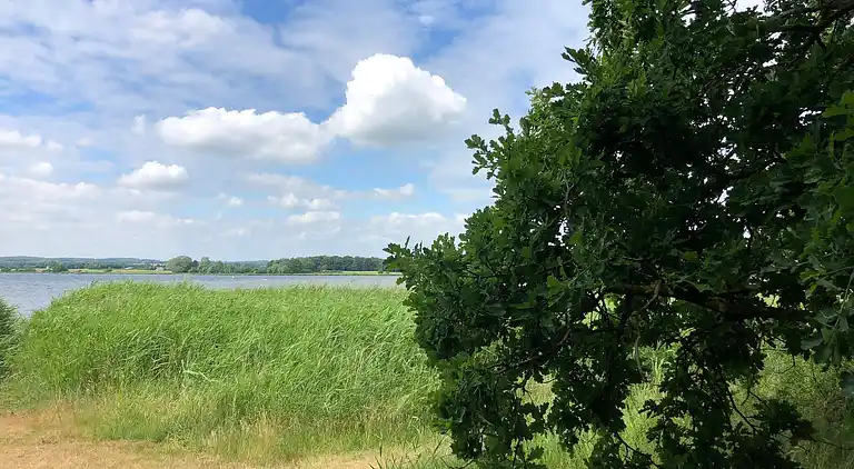 Holiday home in Faxe