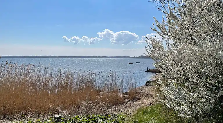 Holiday home in Faxe