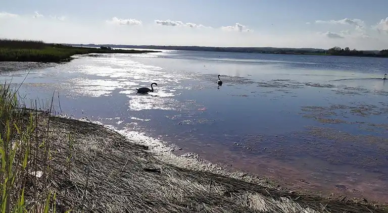 Holiday home in Faxe