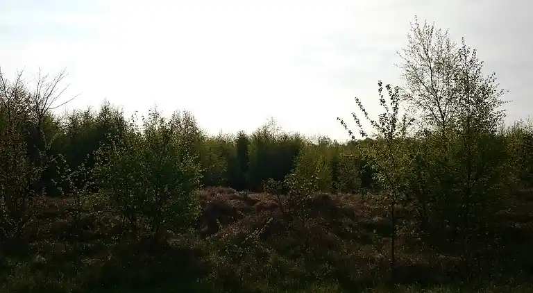 Holiday home in Faxe