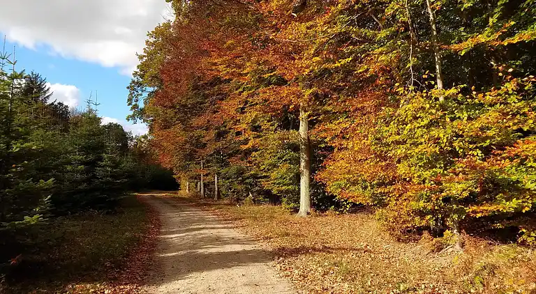 Maison de vacances en Karrebæksminde