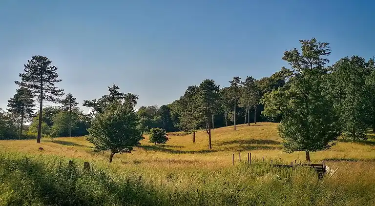 Maison de vacances en Stege