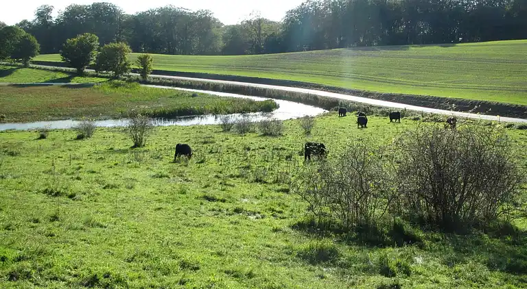 Maison de vacances en Stege