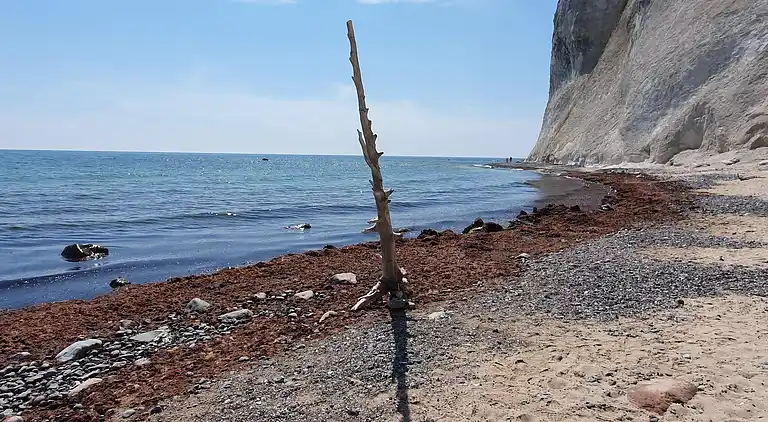 Maison de vacances en Stege