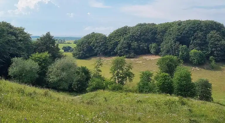 Maison de vacances en Stege