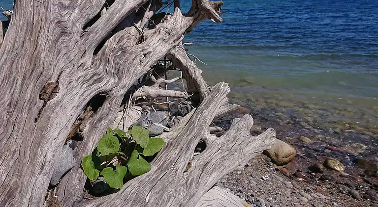 Maison de vacances en Stege