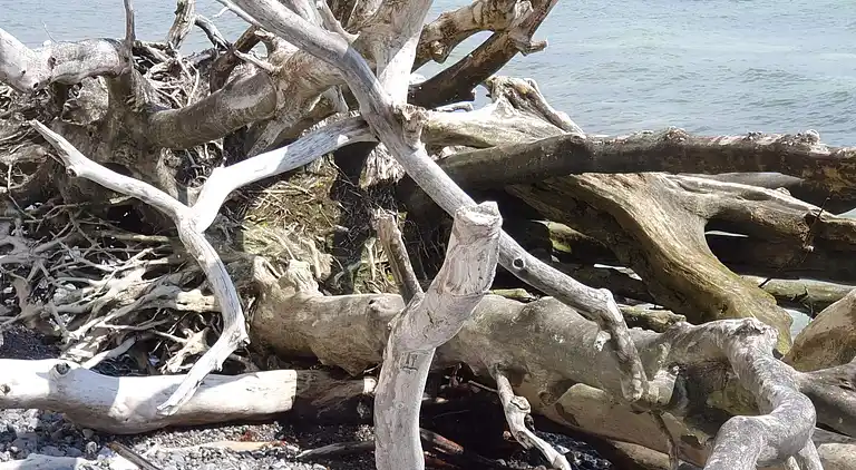 Maison de vacances en Stege