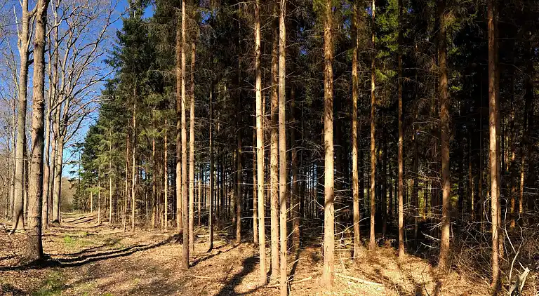 Maison de vacances en Karrebæksminde