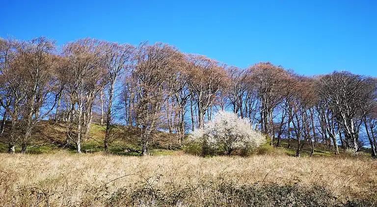 Maison de vacances en Stege