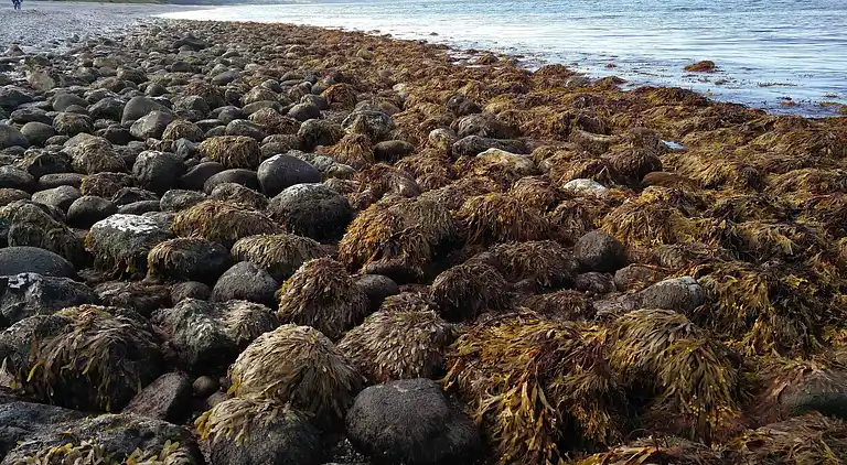 Holiday home in Nykøbing Sjælland