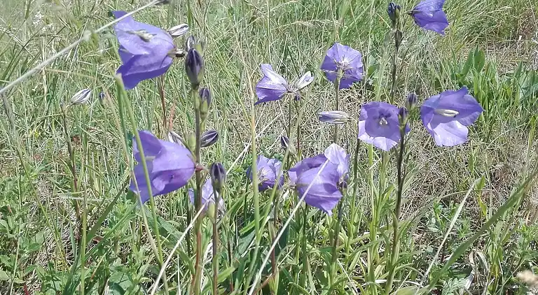 Holiday home in Nykøbing Sjælland