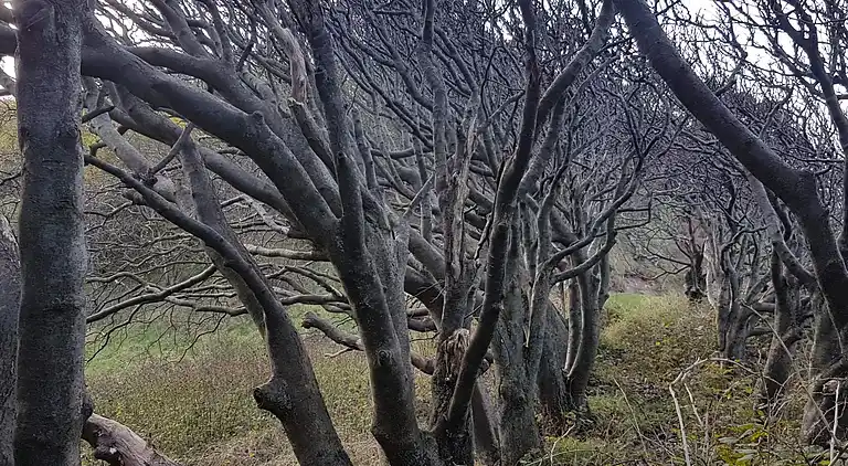 Holiday home in Nykøbing Sjælland