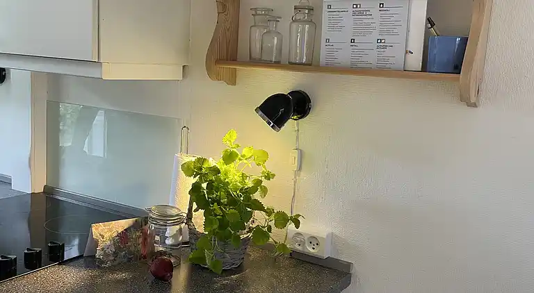 Ferieidyl tæt på skov og Bornholms bedste strand