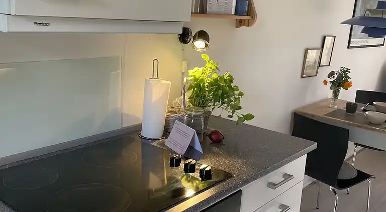 Ferieidyl tæt på skov og Bornholms bedste strand