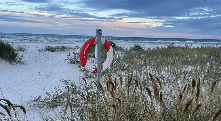 Ferieidyl tæt på skov og Bornholms bedste strand