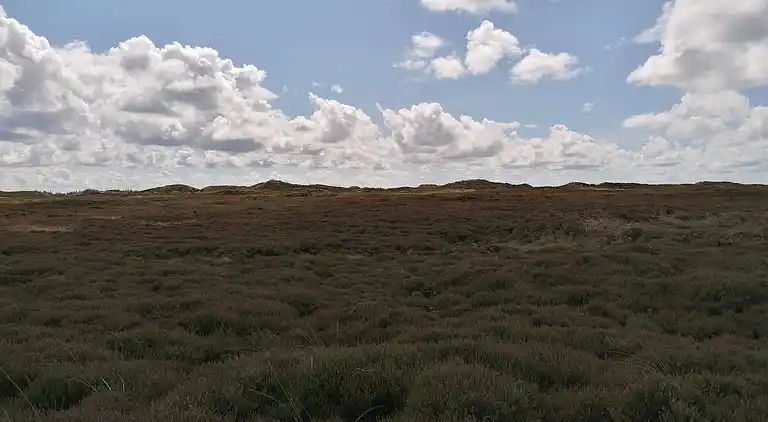 Sommerhus i Houstrup