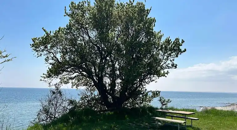 Casa vacanze in Væggerløse