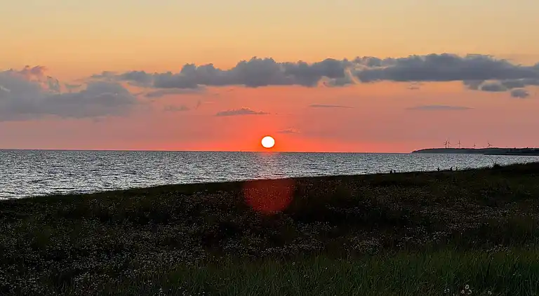 Holiday home in Dannemare