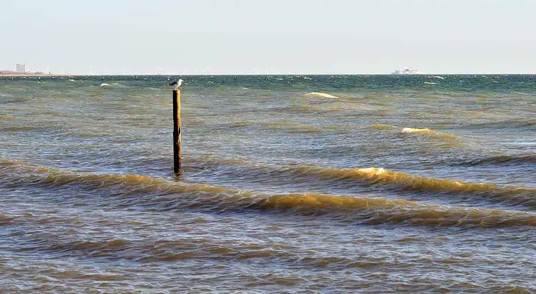 Holiday home in Dannemare