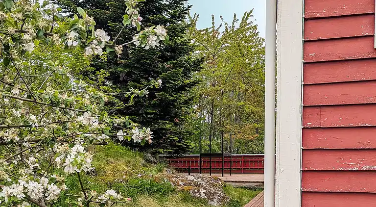 Holiday home in Torvikeidet