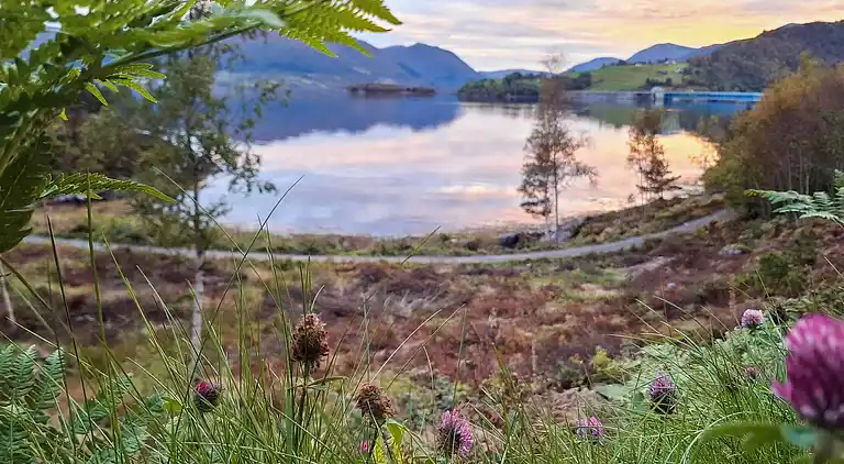 Holiday home in Tingvoll