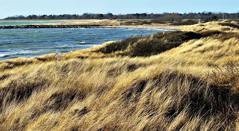 Holiday home in Rødby