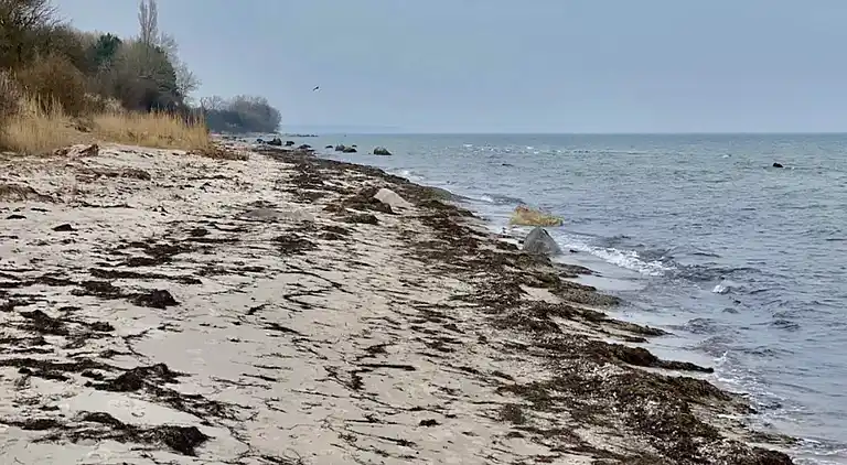 Holiday home in Idestrup