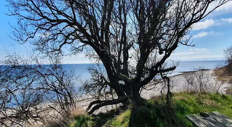 Holiday home in Idestrup