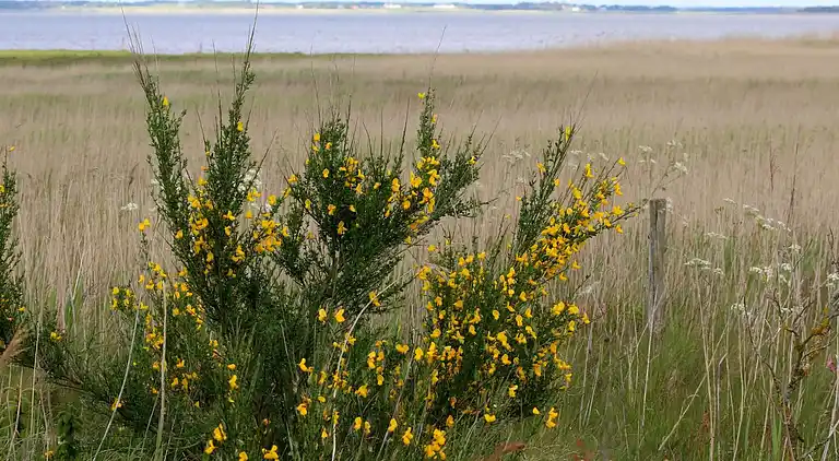 Semesterbostad i Houstrup
