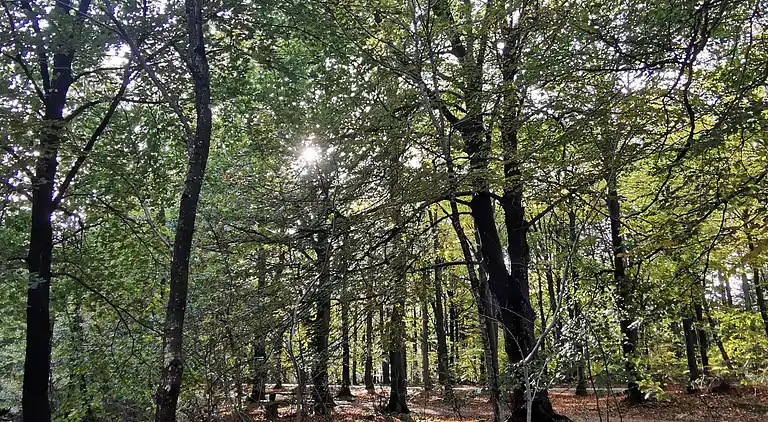 Semesterbostad i Houstrup