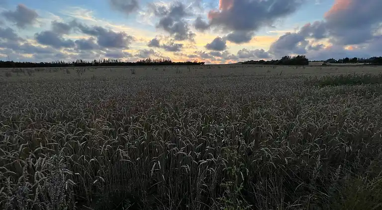 Semesterbostad i Houstrup