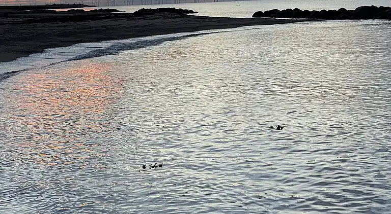 Holiday home in Rødby