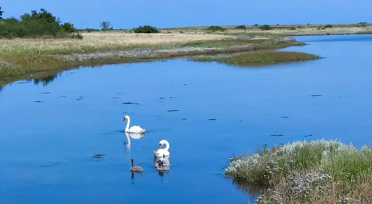 Feriebolig i Martofte