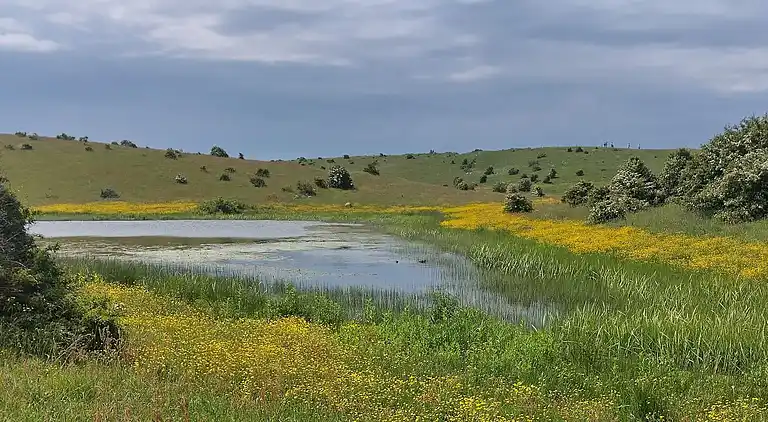 Feriebolig i Martofte