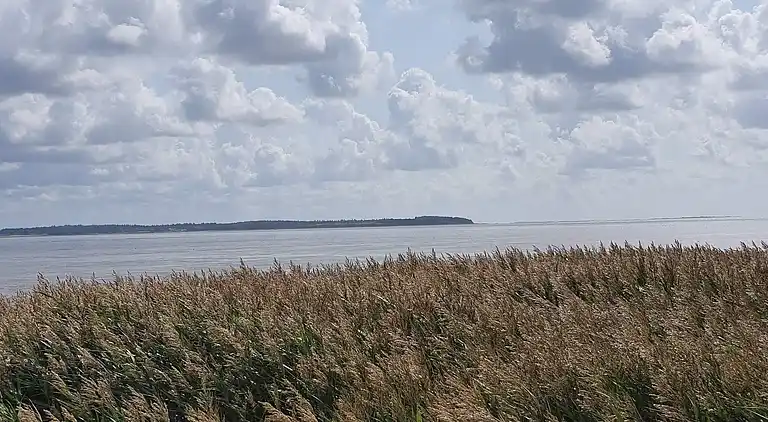 Semesterbostad i Mosevrå