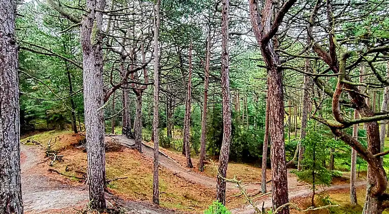 Semesterbostad i Mosevrå