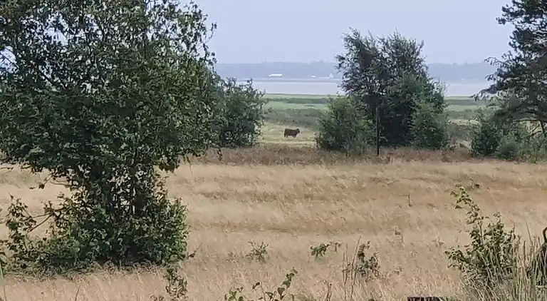 Semesterbostad i Mosevrå