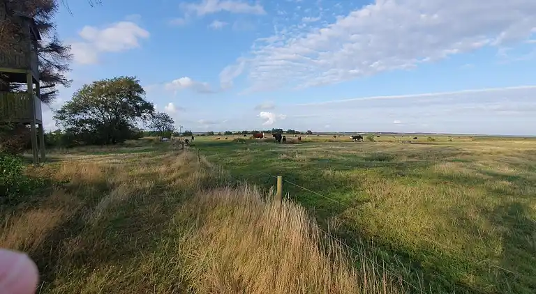 Semesterbostad i Mosevrå